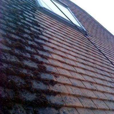 Roof Cleaning